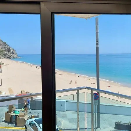 California Private Front Apartment